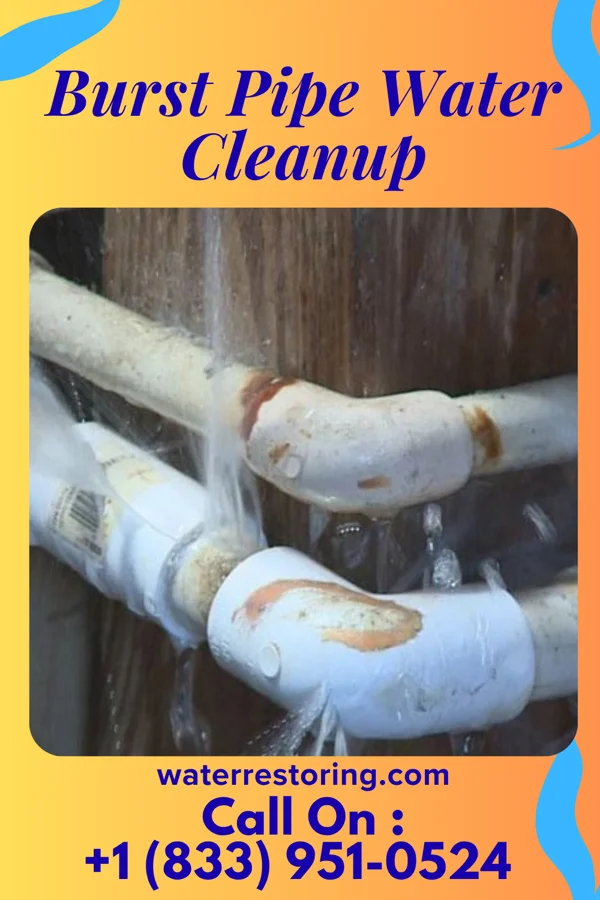 Burst Pipe Water Cleanup in Hagerstown, MD