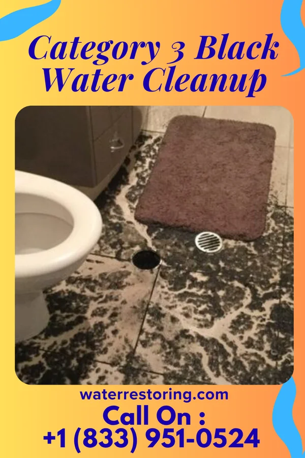Category 3 Black Water Cleanup in Hagerstown, MD