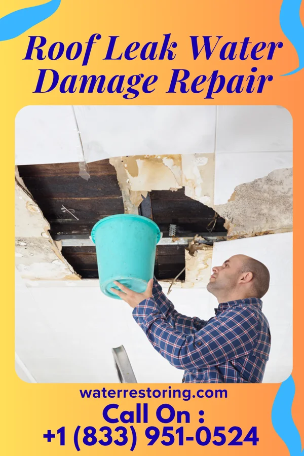 Roof Leak Water Damage Repair in Hagerstown, MD
