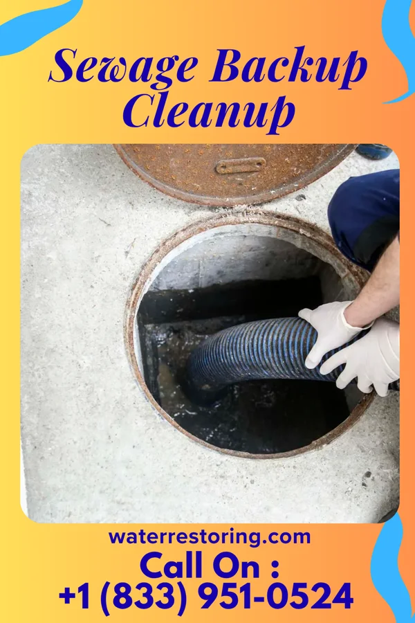 Sewage Backup Cleanup in Hagerstown, MD