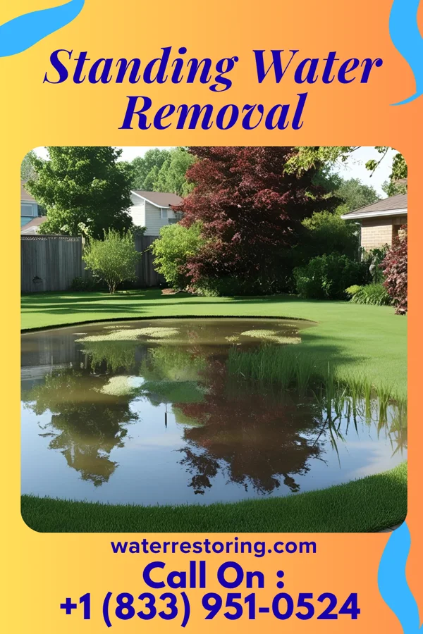 Standing Water Removal in Hagerstown, MD